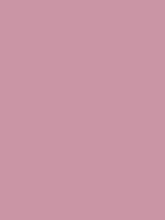SATEREO PINK RV 87