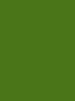 VALLEY GREEN RV 6018