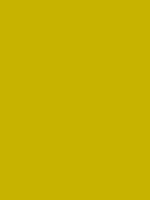 MTN 94 - RV 110 / Yosemite Yellow
