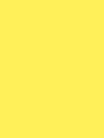 MTN 94 - RV 109 Canarias Yellow