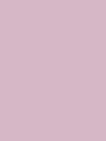 MTN 94 - RV 322 / Arlet Violet