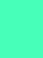 Grog Full Metal Paint 200 ml - MIAMI GREEN