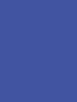 MTN HC2 - RV-353 Julione Blue