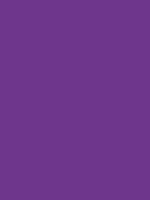 MOLOTOW 620PP - PURPLE