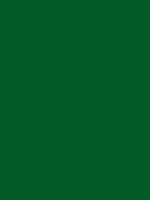 Montana BLACK - 6060 Celtic