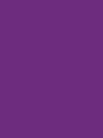 Montana BLACK - 4040 Pimp Violet