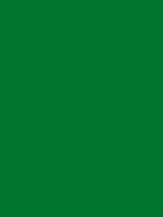 Montana BLACK - 6095 Plant